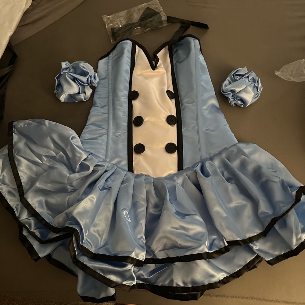 Alice corset Halloween Costume.  New in package. Never worn.